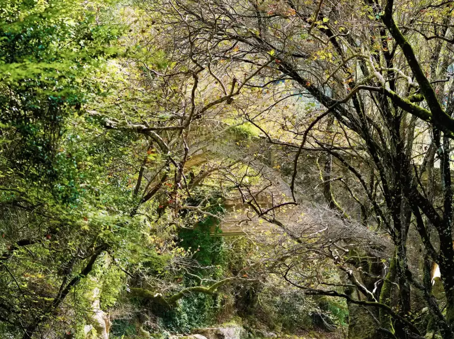 An ancient bridge is seen through the trees in Greece.